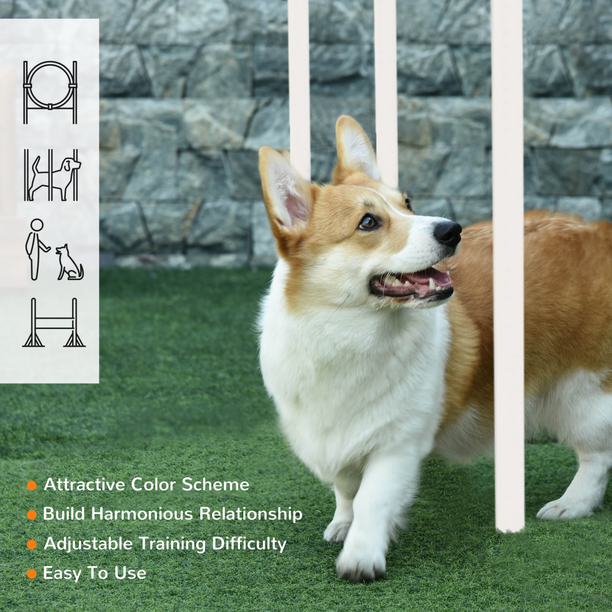 cortex-london-windsor-dog-agility-training-set-multicoloured