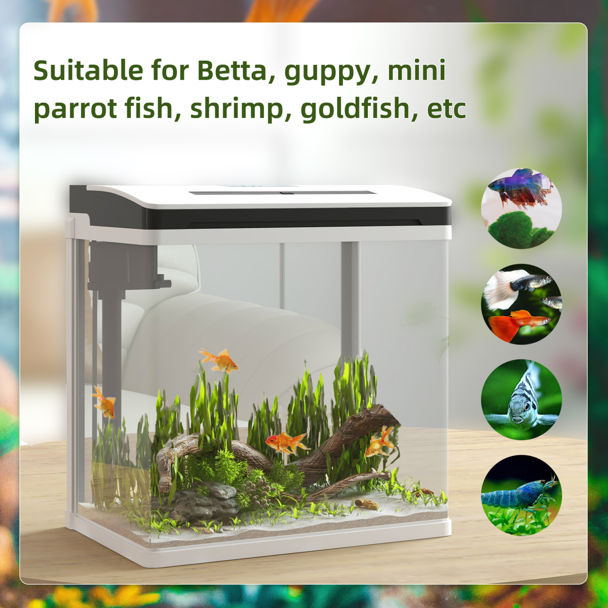 cortex-london-windsor-13l-glass-fish-tank-filter-led-lighting-water-pump