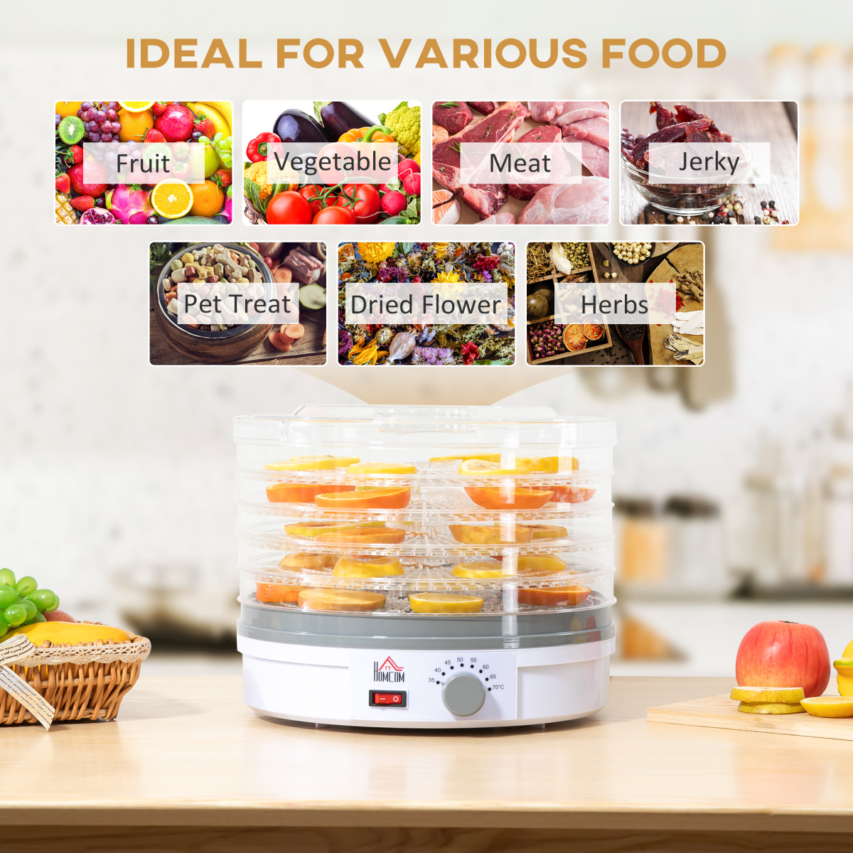 cortex-london-windsor-five-tier-stainless-steel-food-dehydrator-245w