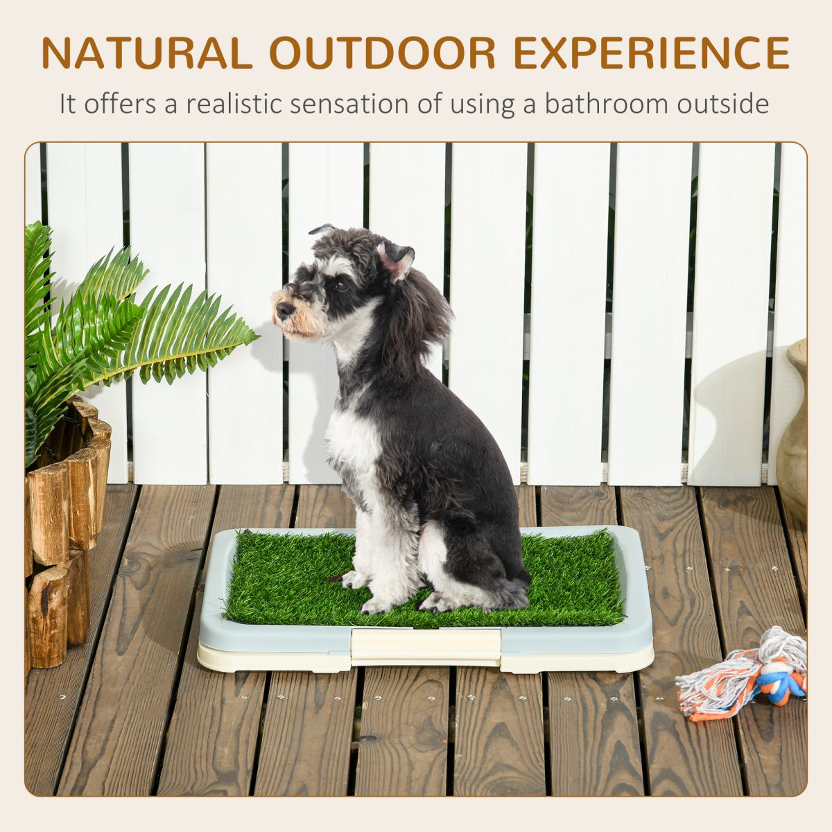 cortex-london-windsor-pawhut-indoor-dog-toilet-artificial-grass-tray