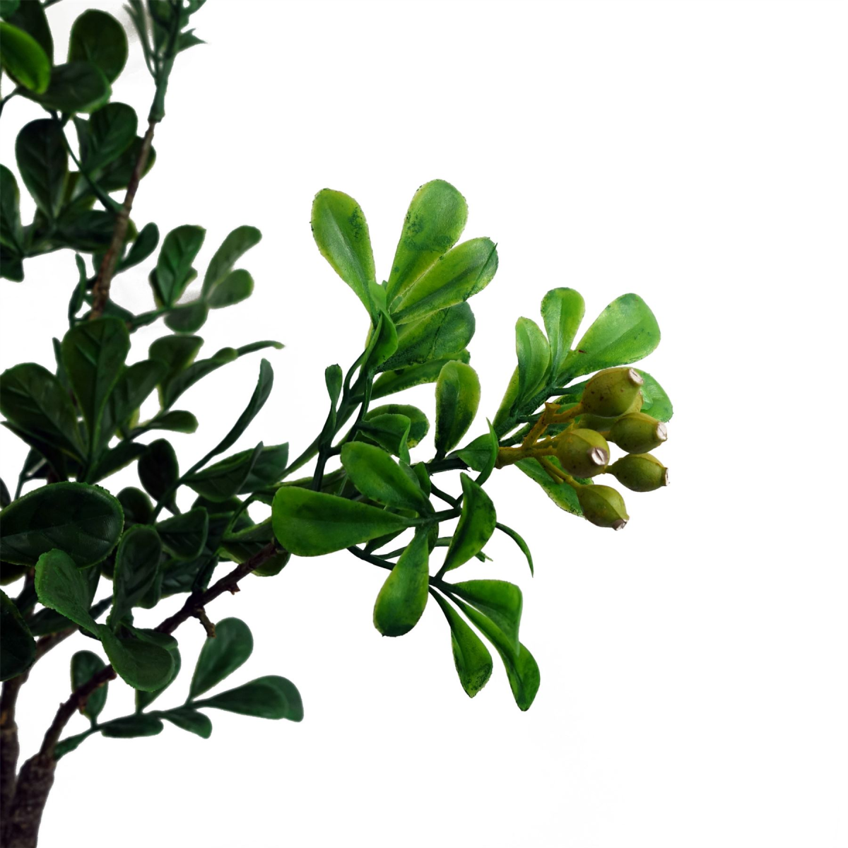 cortex-london-windsor-artificial-aglaia-odorata-bonsai-ficus-tree-60cm