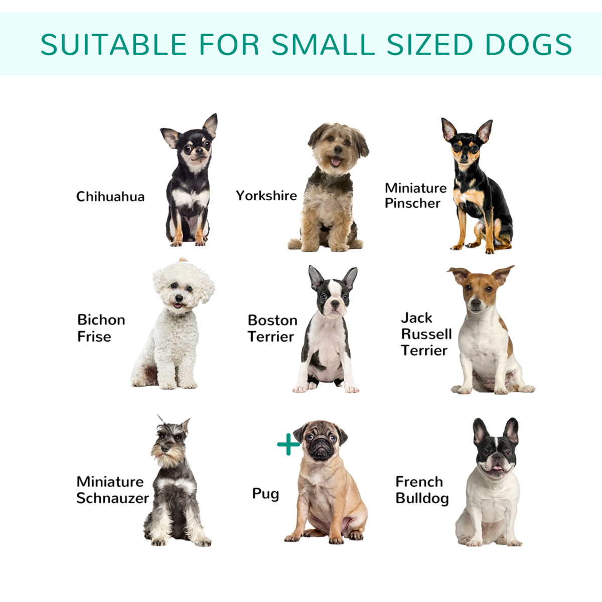 12 Panels Pet Playpen, Heavy-Duty Dog Fence DIY Design w/ Doors, 80 x 60 cm