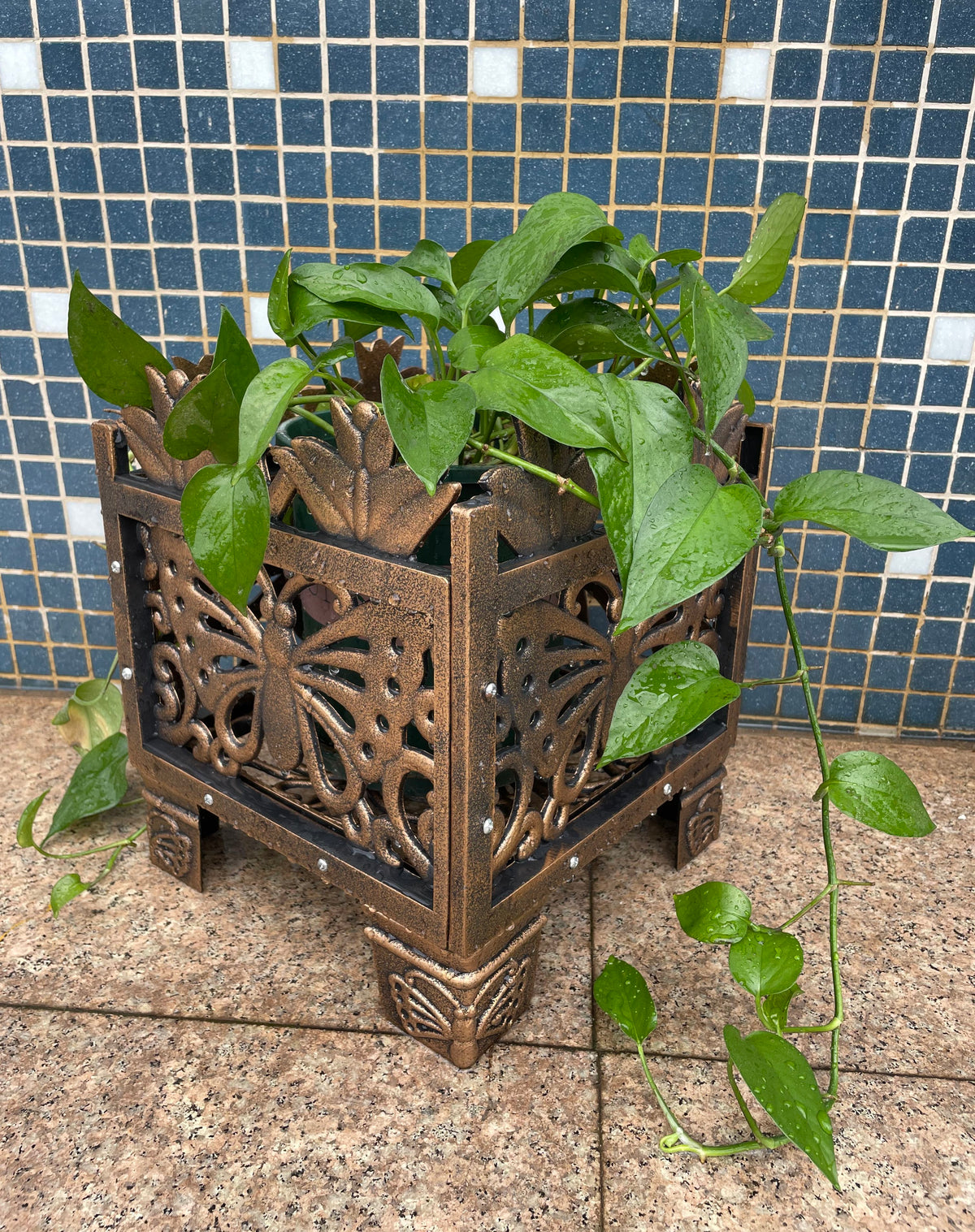 cortex-london-windsor-bronze-butterfly-design-planter-rack