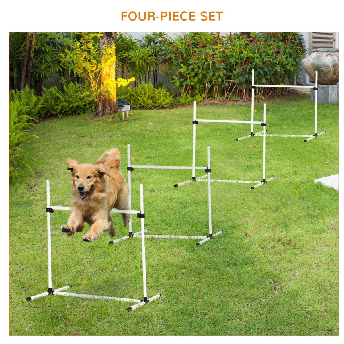 cortex-london-windsor-canine-agility-jump-training-set-portable-adjustable