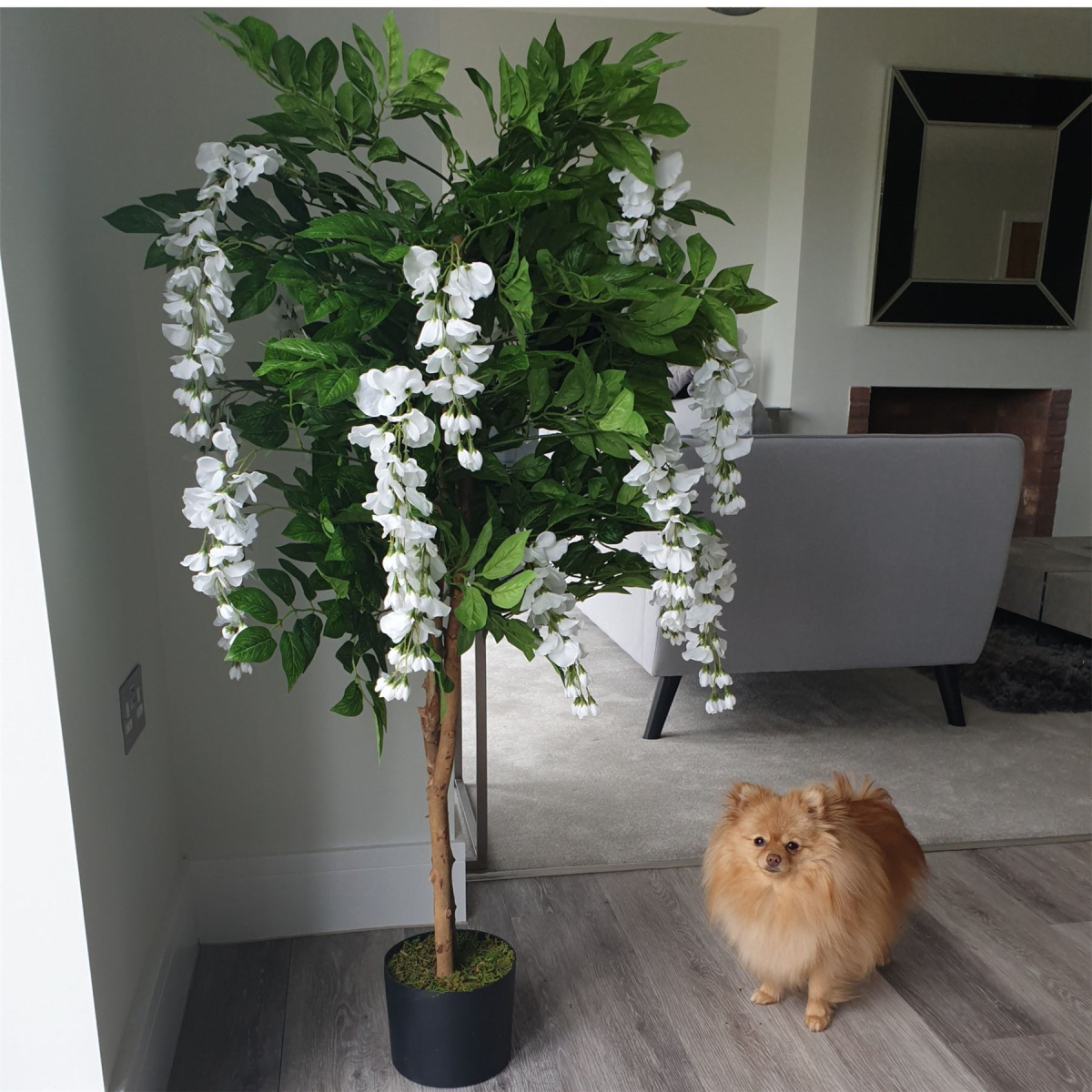 cortex-london-windsor-white-wisteria-artificial-tree-gold-metal-planter