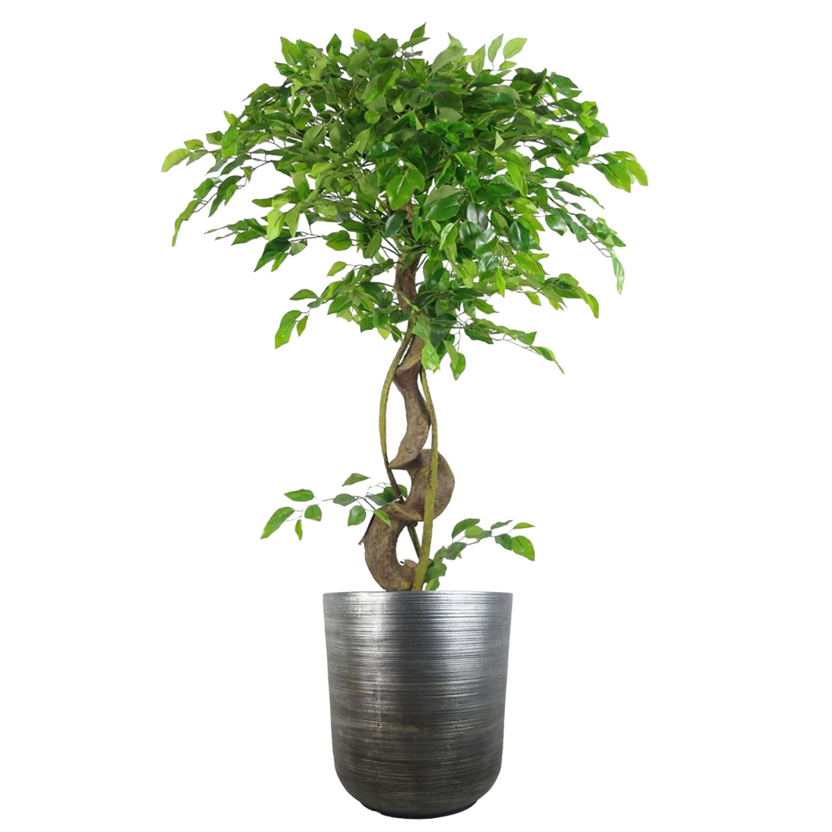cortex-london-york-coya-silver-ridged-large-planter-fibreglass-cement-composite