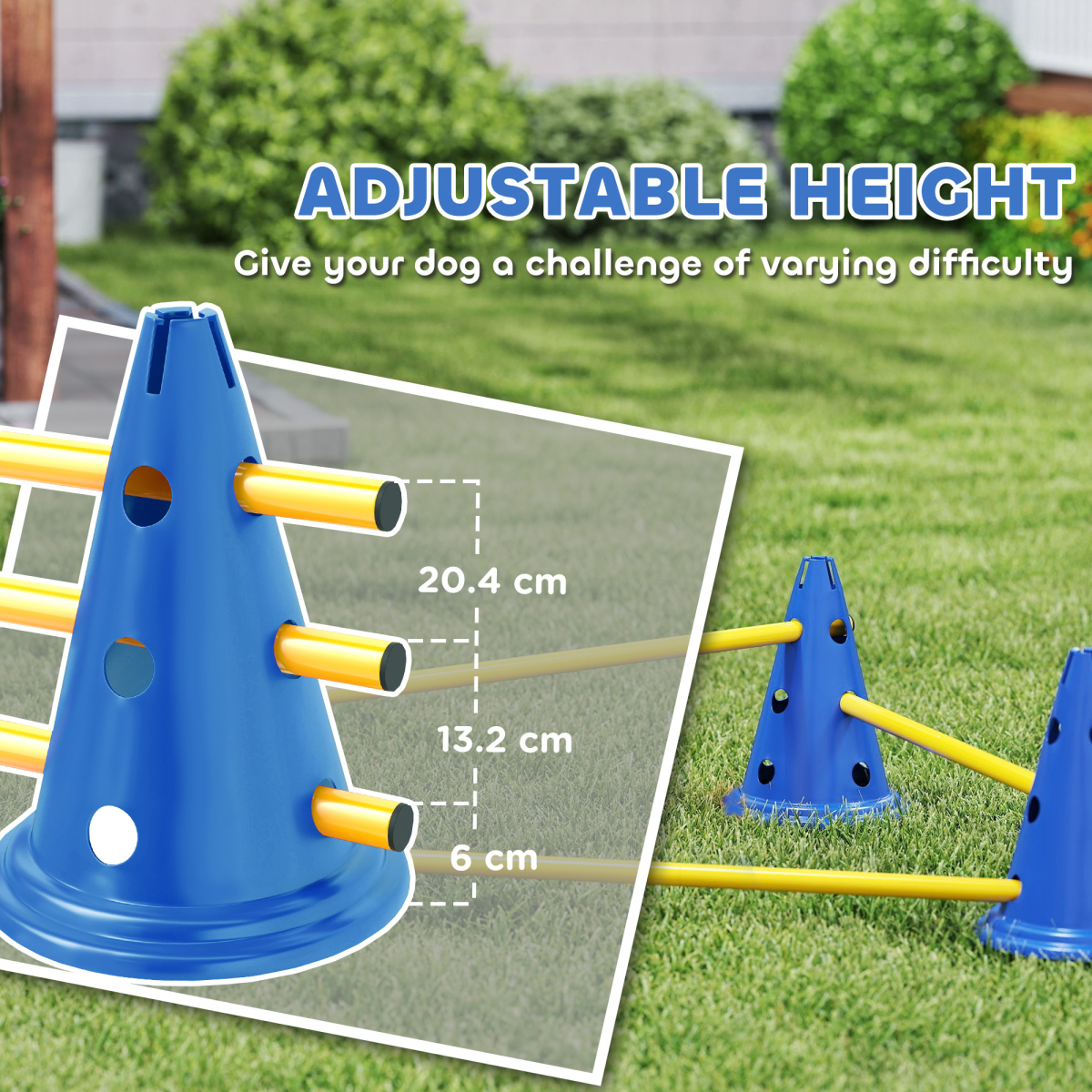 cortex-london-windsor-dog-agility-training-set-six-cones-blue-yellow