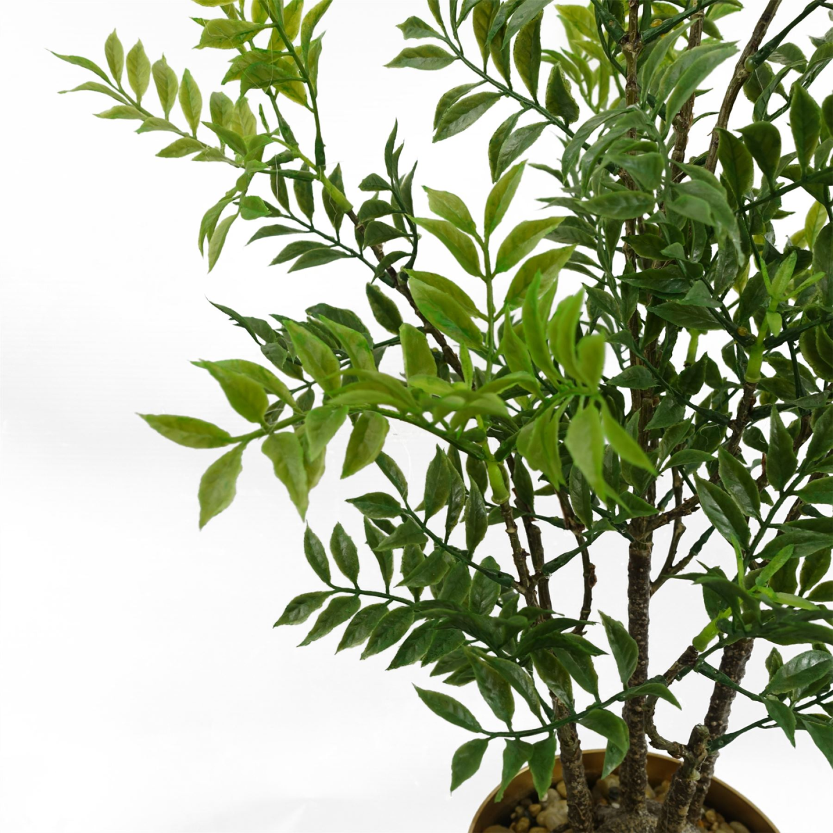 cortex-london-windsor-artificial-nandina-bonsai-ficus-tree-60cm-plastic-leaves