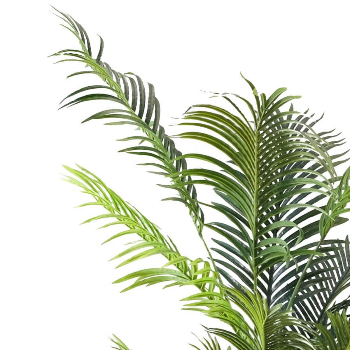 cortex-london-kensington-artificial-palm-tree-160cm-15-leaves-white-pot