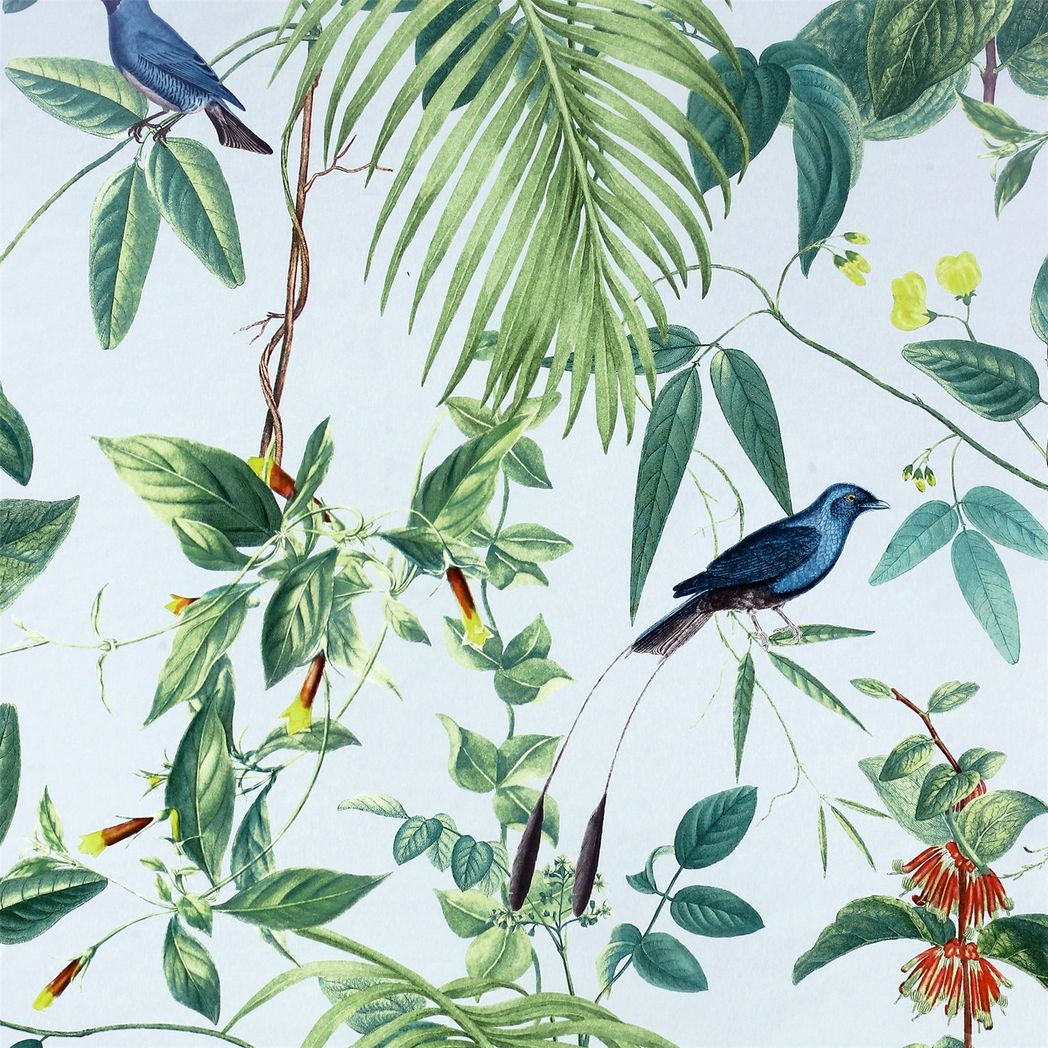 cortex-london-kew-exotic-garden-blue-botanical-design-colourful-birds-flowers