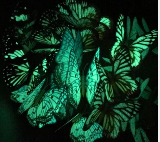 cortex-london-brighton-glow-in-the-dark-butterflies-set-of-18