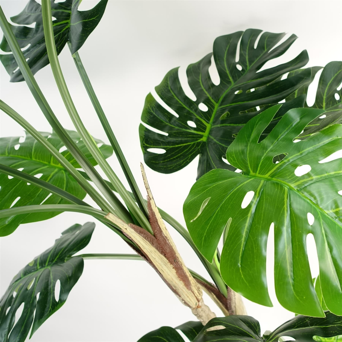 cortex-london-windsor-luxury-monstera-plant-black-pot-gold-metal-planter