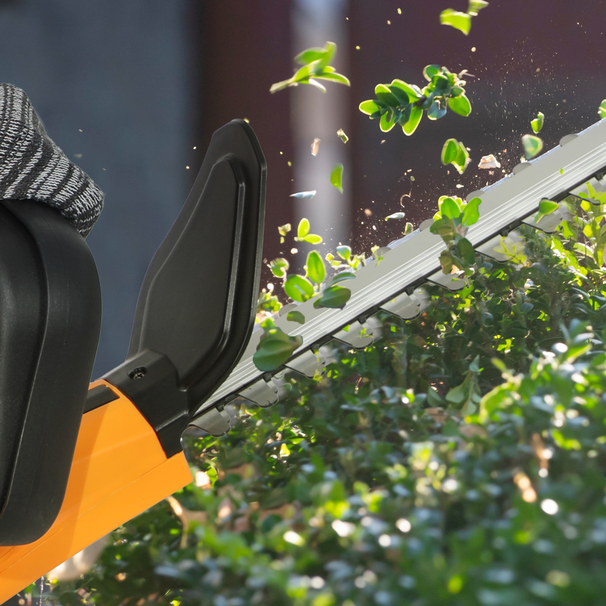 Chainsaw