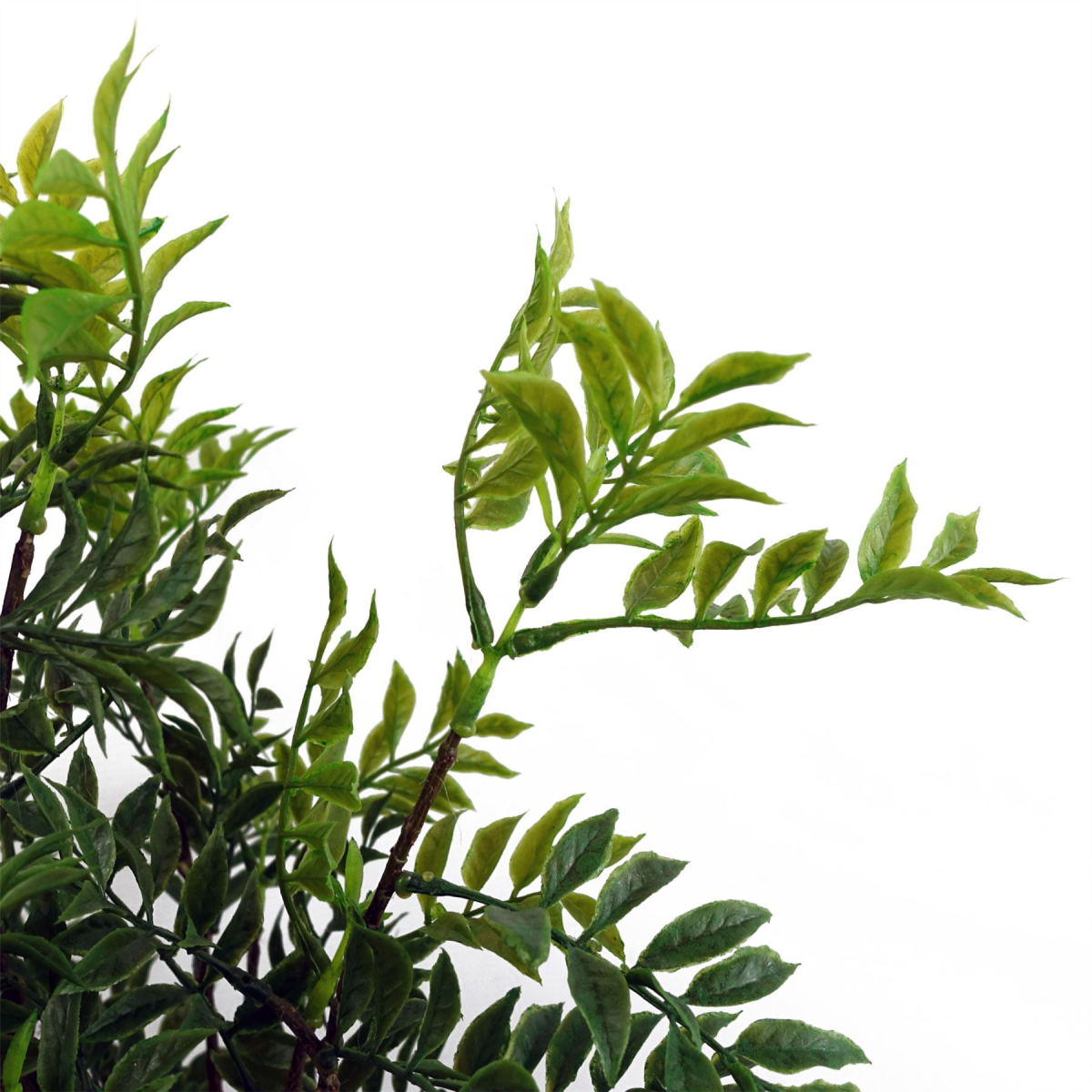 cortex-london-windsor-artificial-nandina-bonsai-ficus-tree-60cm-plastic-leaves
