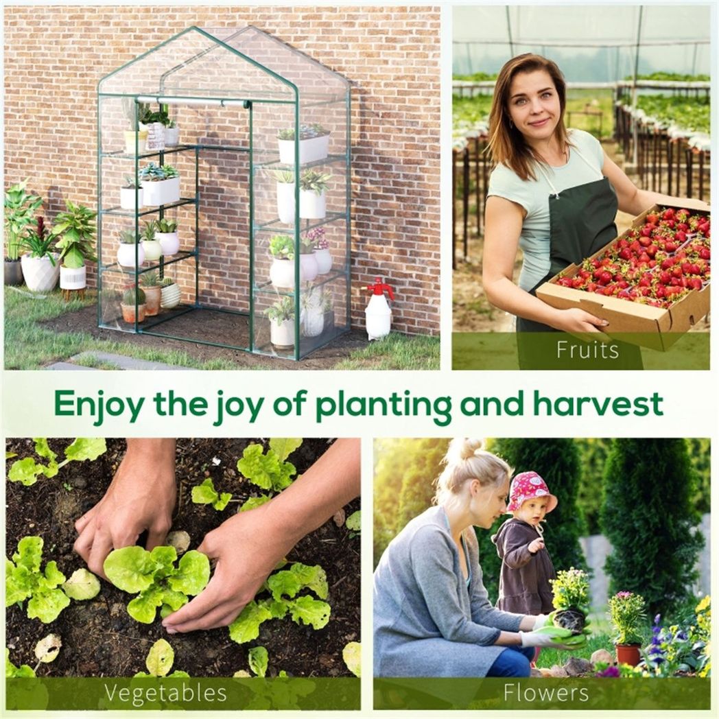 cortex-london-kew-walk-in-greenhouse-deep-green-transparent-pvc-cover-four-shelves