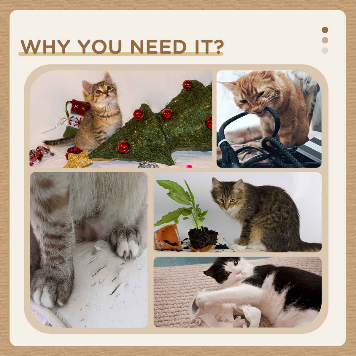 cortex-london-windsor-pawhut-cat-tree-tower-scratching-posts-plush-condo