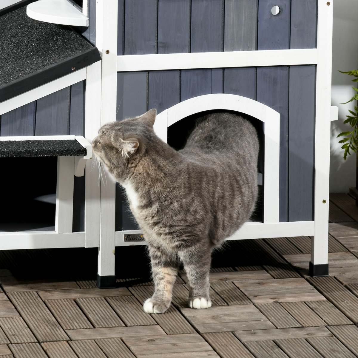 cortex-london-windsor-fir-wood-outdoor-cat-house-flower-pot