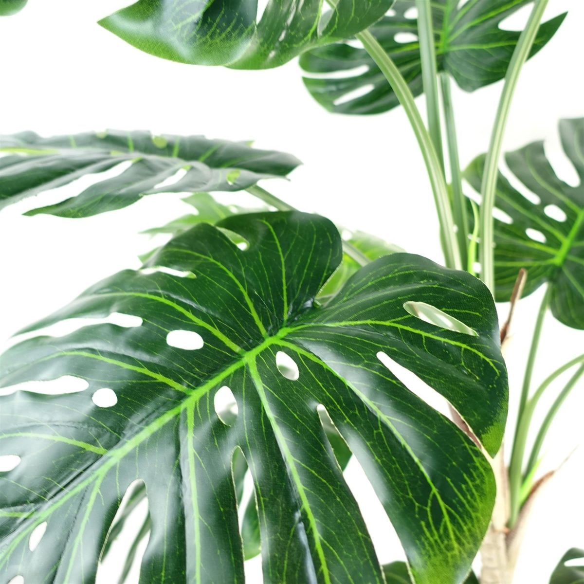 cortex-london-windsor-luxury-monstera-plant-black-pot-gold-metal-planter