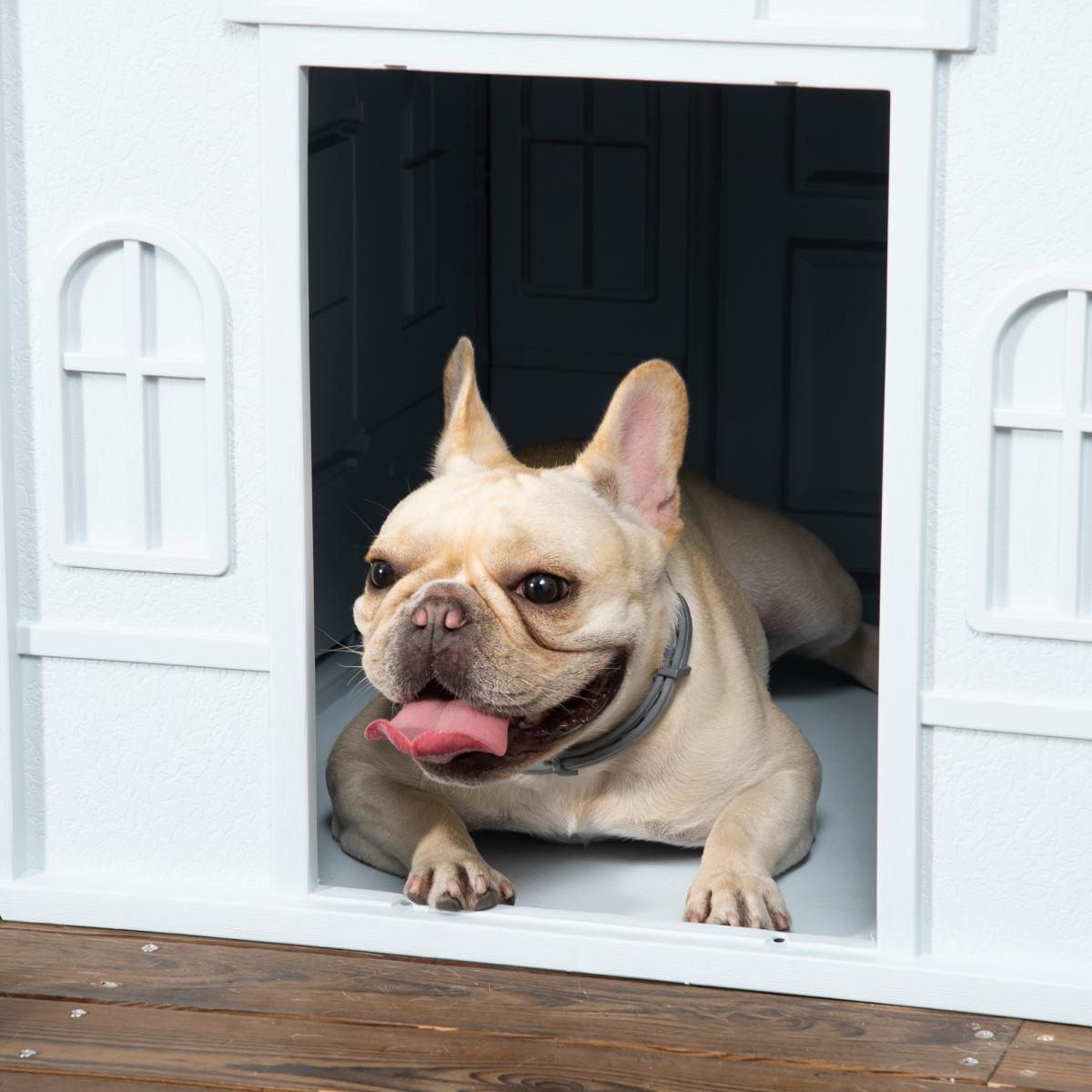 cortex-london-windsor-pawhut-blue-white-weather-resistant-medium-dog-house