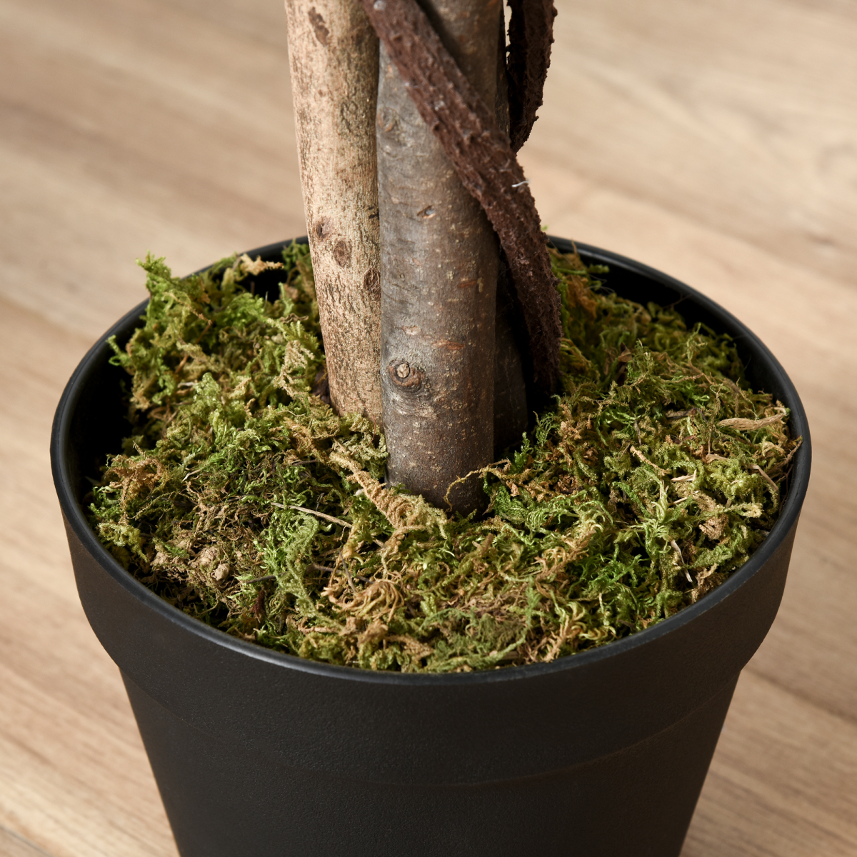 cortex-london-kensington-artificial-ficus-tree-160cm