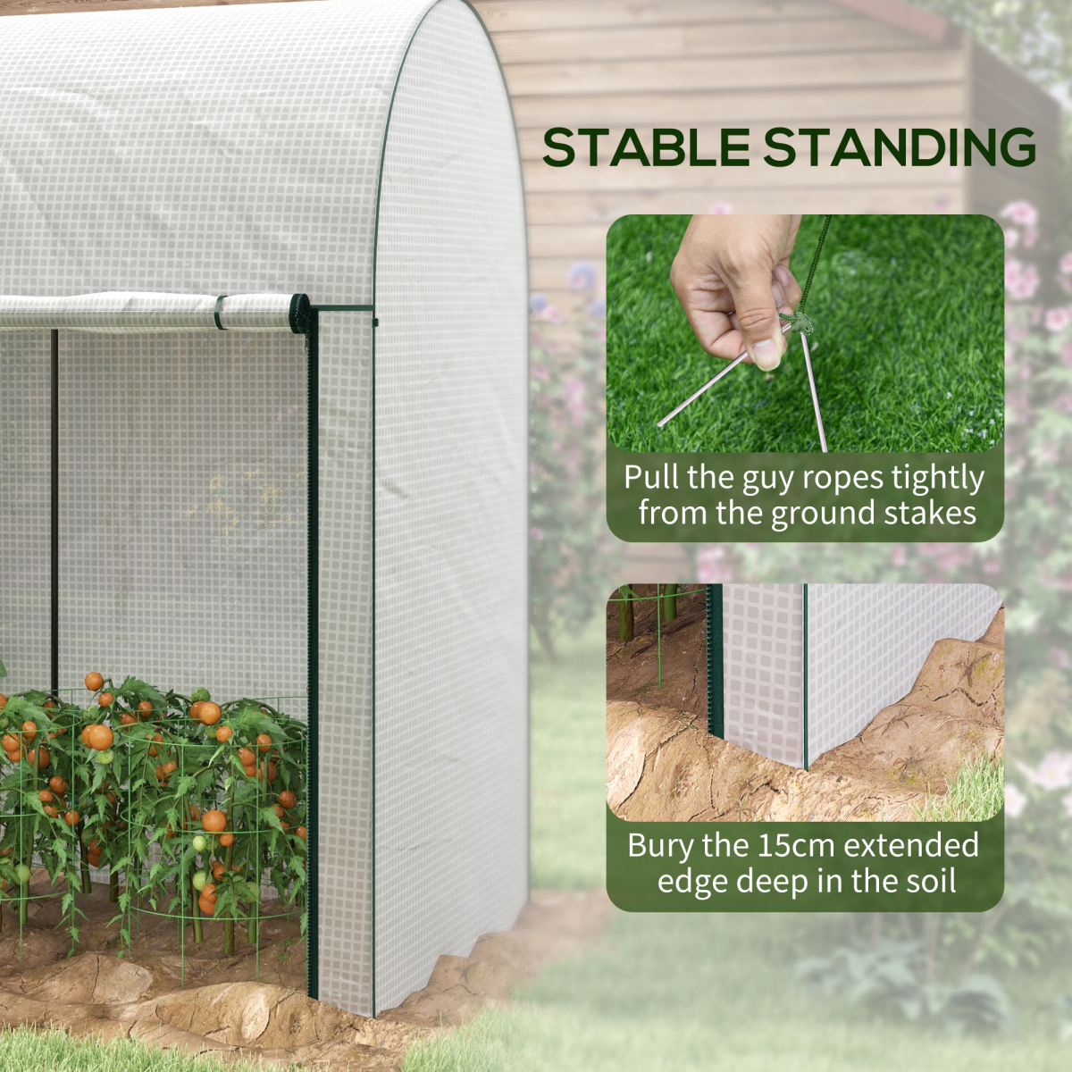 cortex-london-windsor-tomato-greenhouse-200-x-100-x-178cm-white-roll-up-zipped-doors