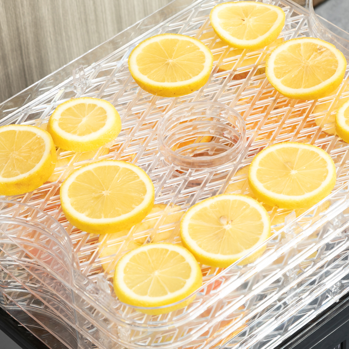 cortex-london-windsor-five-tier-245w-stainless-steel-food-dehydrator-lcd-silver