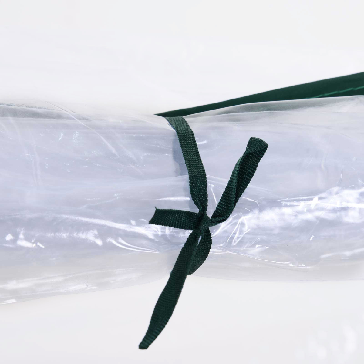 cortex-london-kensington-pvc-greenhouse-tunnel-steel-frame-transparent-250x100x80cm