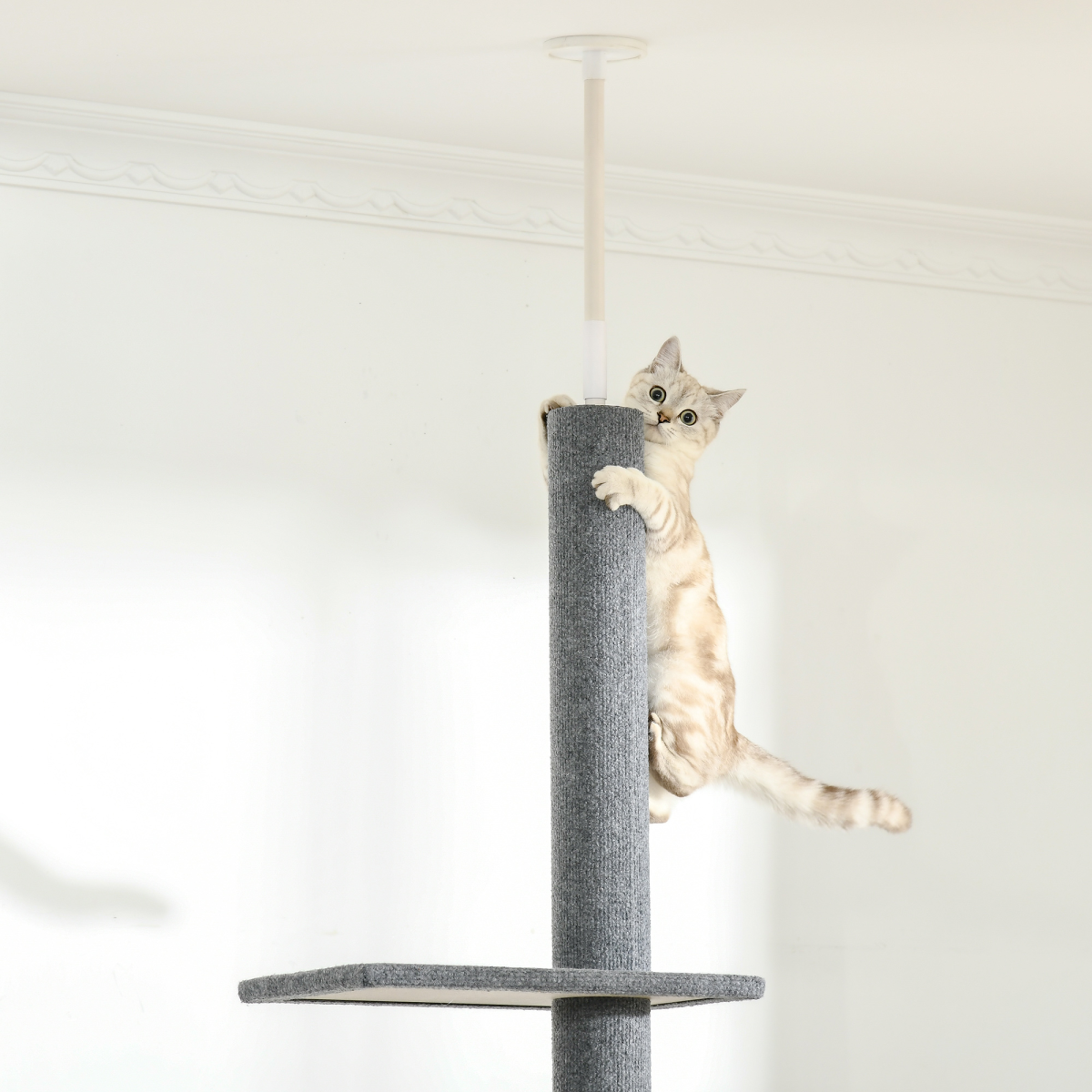 cortex-london-windsor-pawhut-adjustable-floor-to-ceiling-cat-tree-grey
