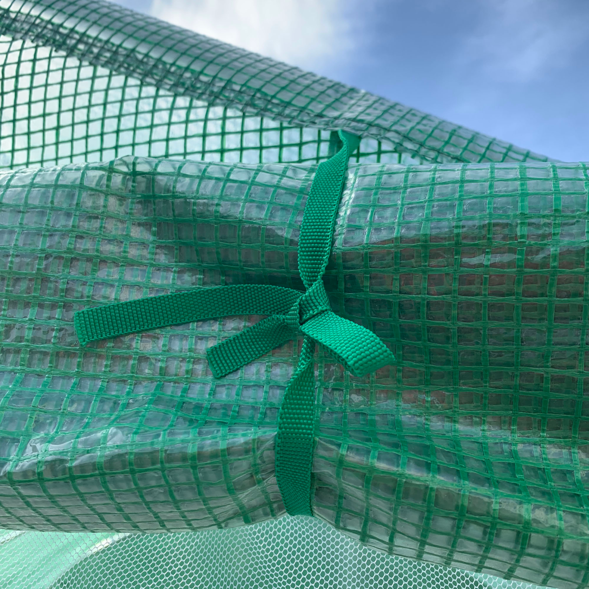cortex-london-windsor-walk-in-polytunnel-tent-4-point-47-x-3-x-2m-green-pe-cover-six-mesh-lined-windows