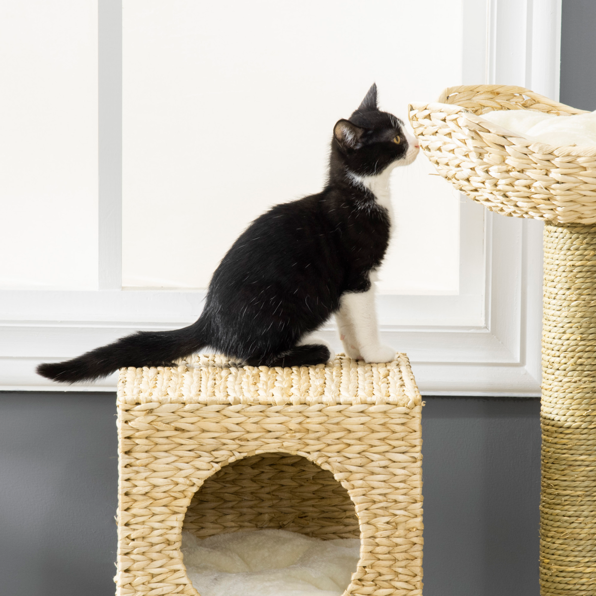 cortex-london-york-cattail-weave-cat-tree-kitten-tower-pawhut