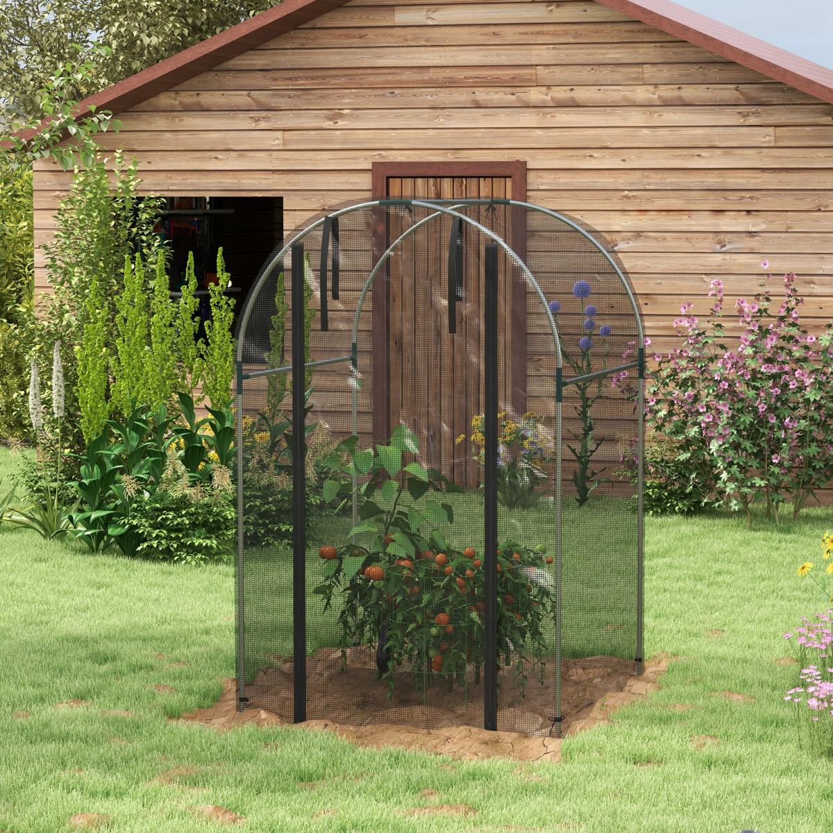 cortex-london-windsor-fruit-cage-plant-protection-tent-black