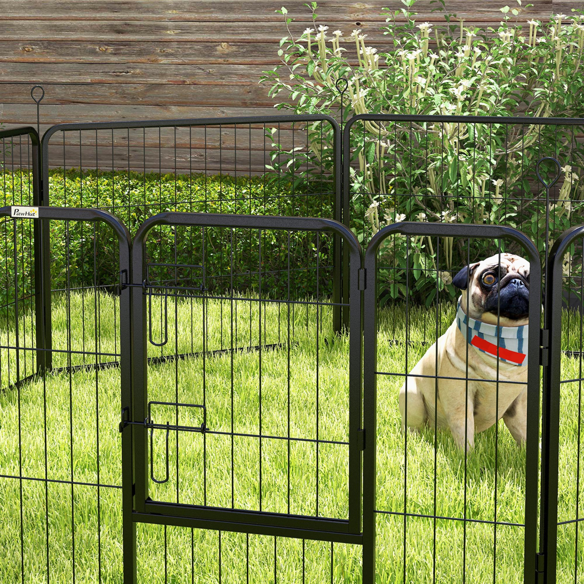 cortex-london-windsor-black-steel-dog-puppy-guinea-pig-playpen