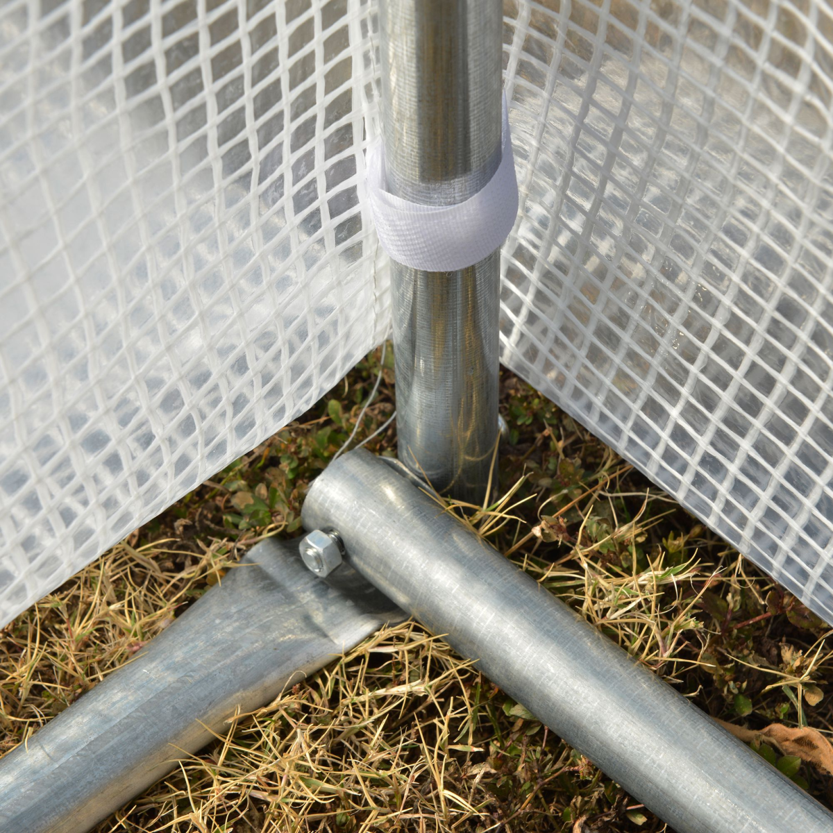 cortex-london-windsor-walk-in-polytunnel-greenhouse-steel-frame-white