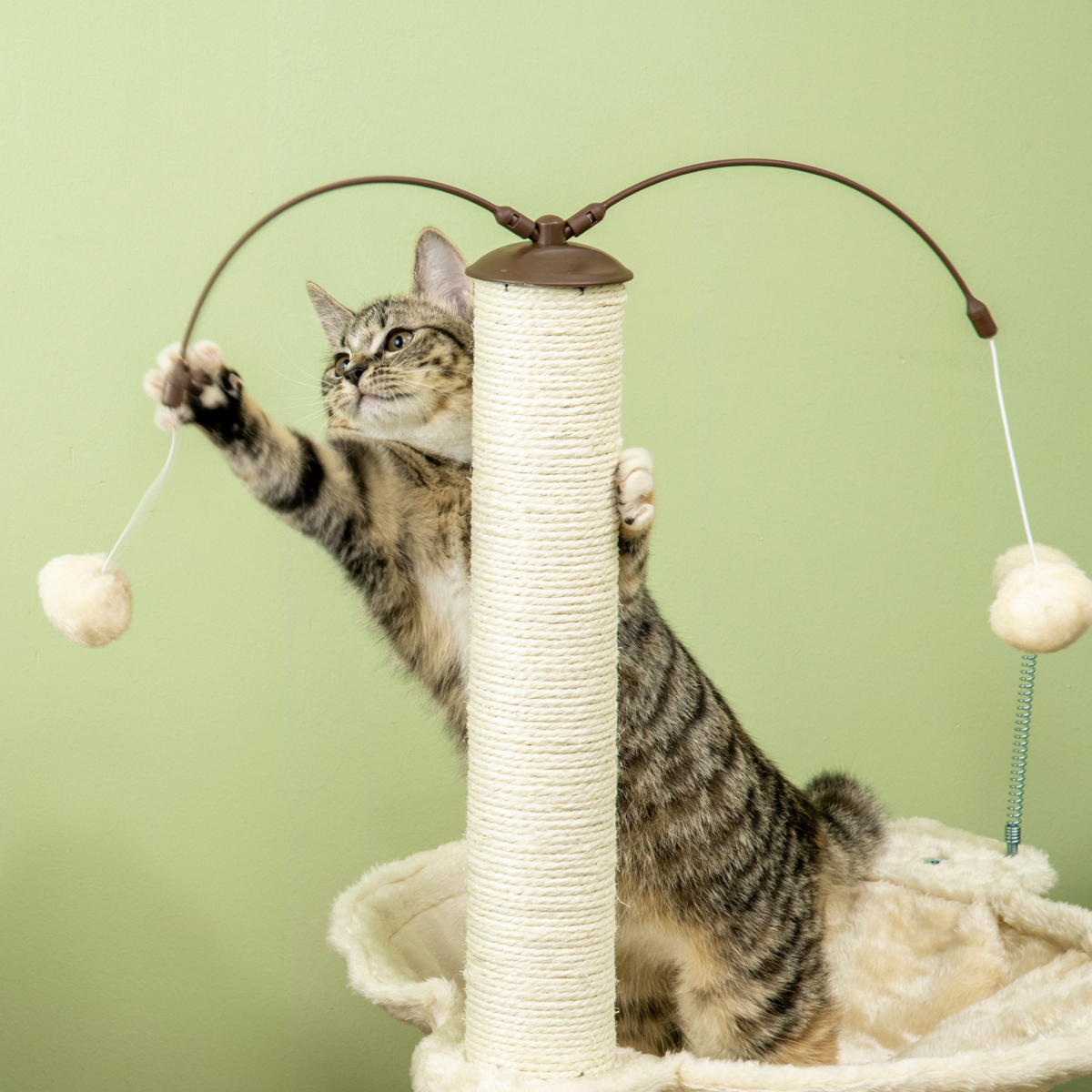 cortex-london-york-cat-tree-scratching-posts-hammock-toy-ball-beige-pawhut