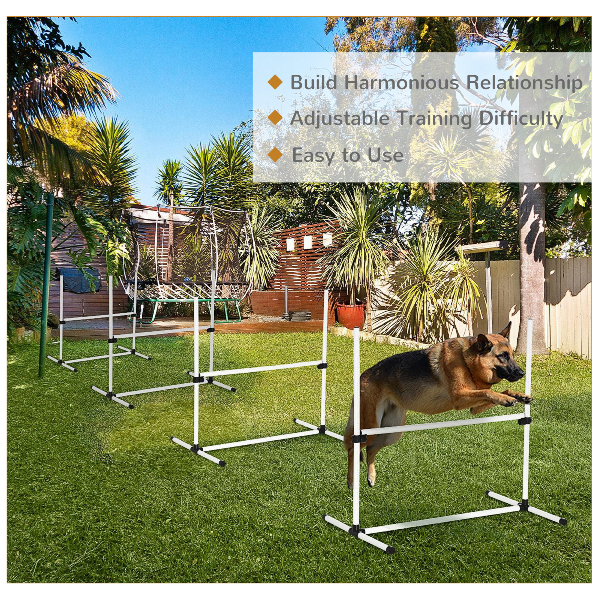 cortex-london-windsor-canine-agility-jump-training-set-portable-adjustable