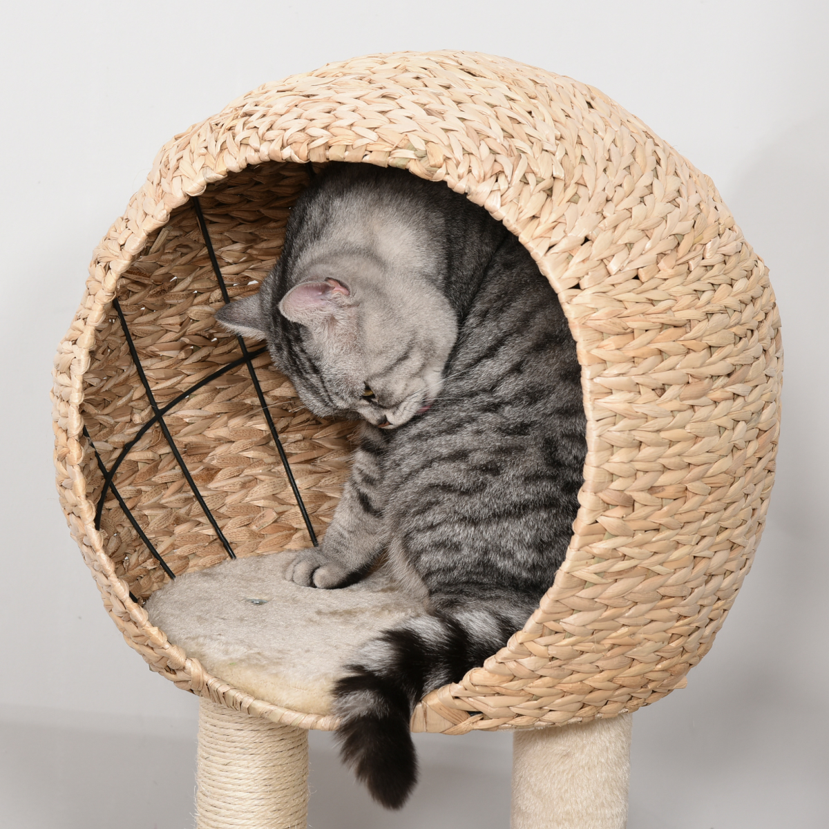 cortex-london-windsor-pawhut-cat-tree-tower-scratching-posts-plush-condo