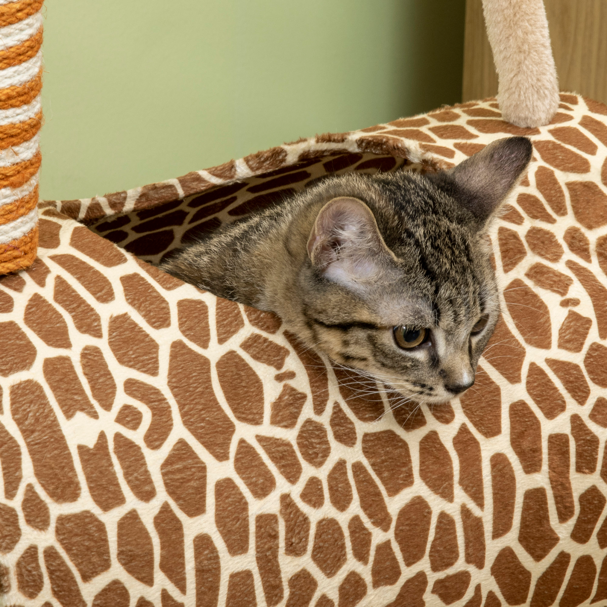cortex-london-york-giraffe-cat-tree-scratching-posts-tunnel