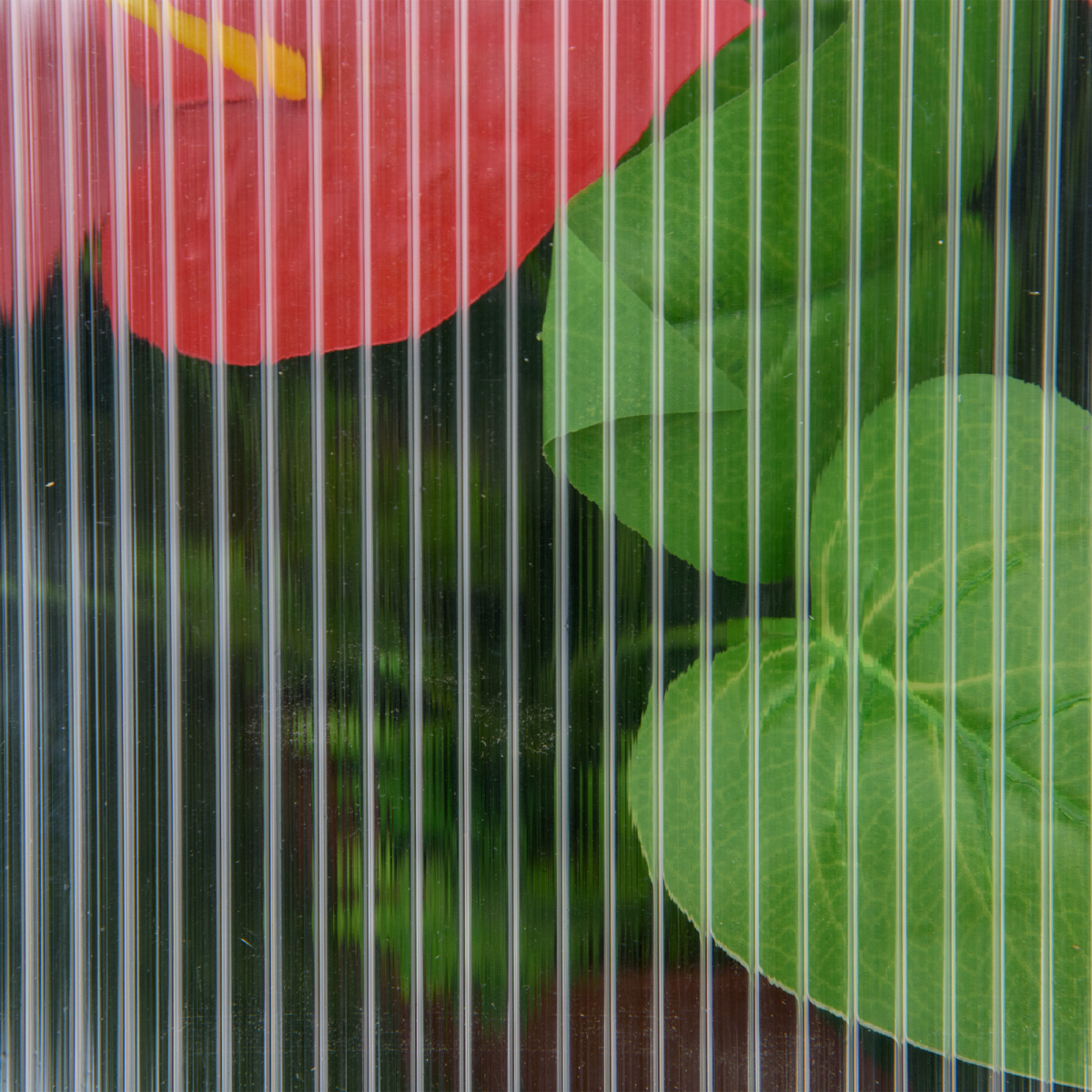 cortex-london-yorkshire-wooden-cold-frame-greenhouse-grey-polycarbonate-panels