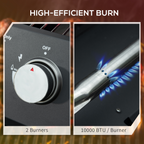 2 Burner Gas BBQ Grill Portable Folding Tabletop Barbecue Lid Thermometer Black