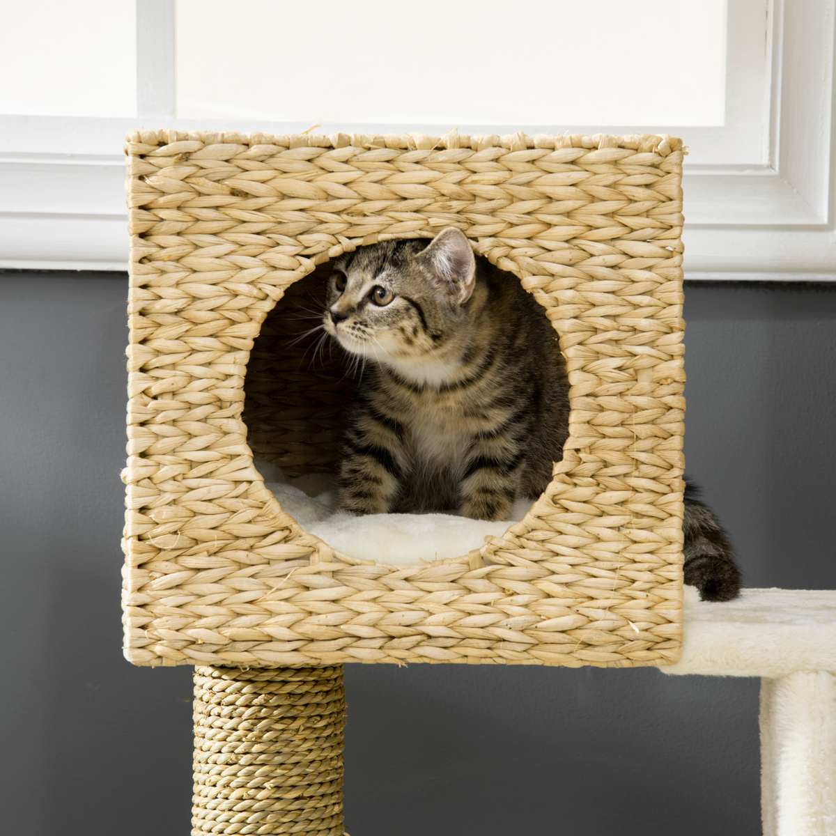cortex-london-york-cattail-weave-cat-tree-kitten-tower-pawhut