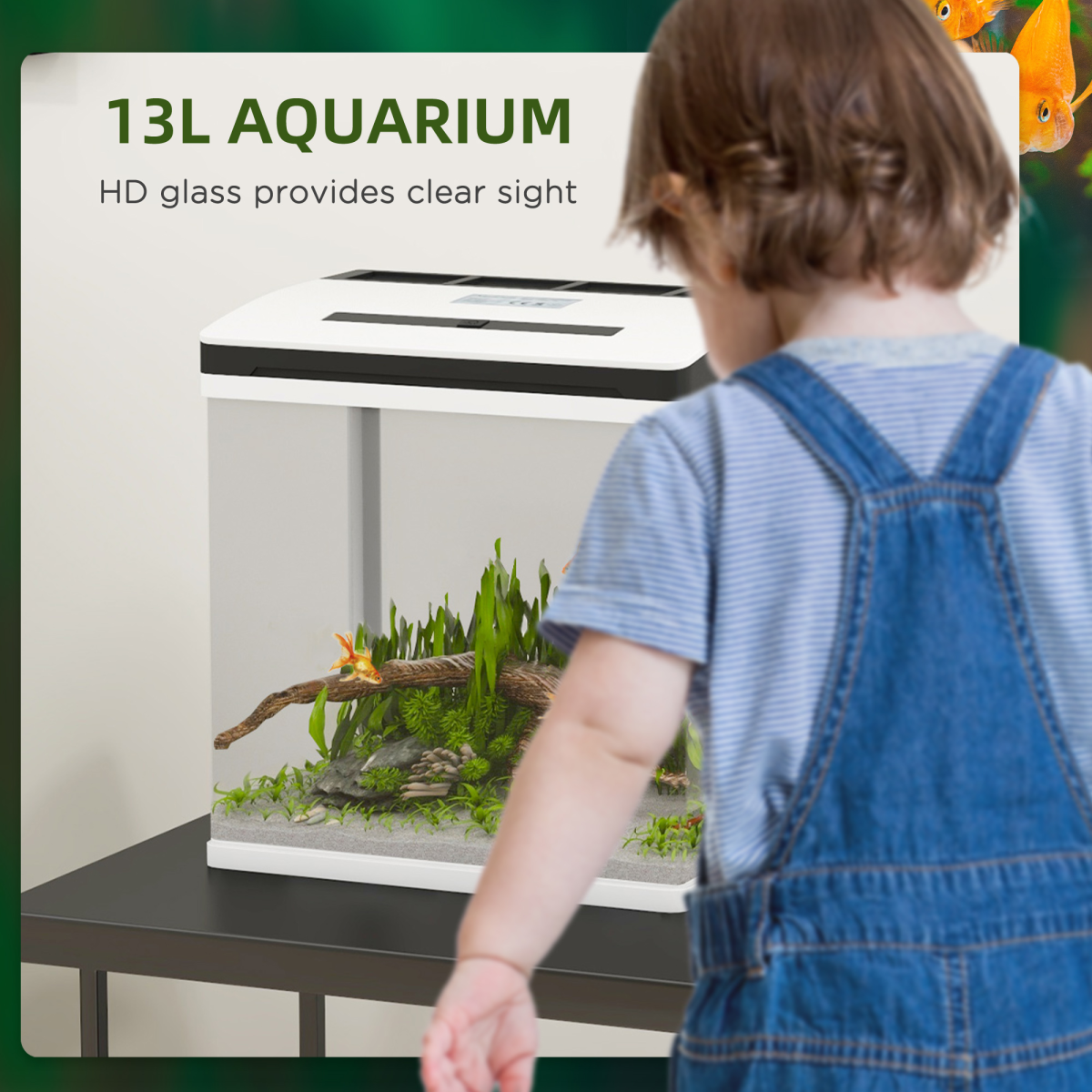 cortex-london-windsor-13l-glass-fish-tank-filter-led-lighting-water-pump