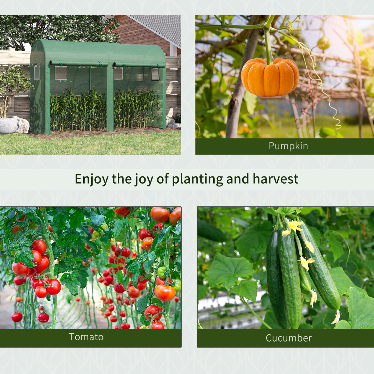 cortex-london-windsor-tomato-greenhouse-double-doors-four-windows