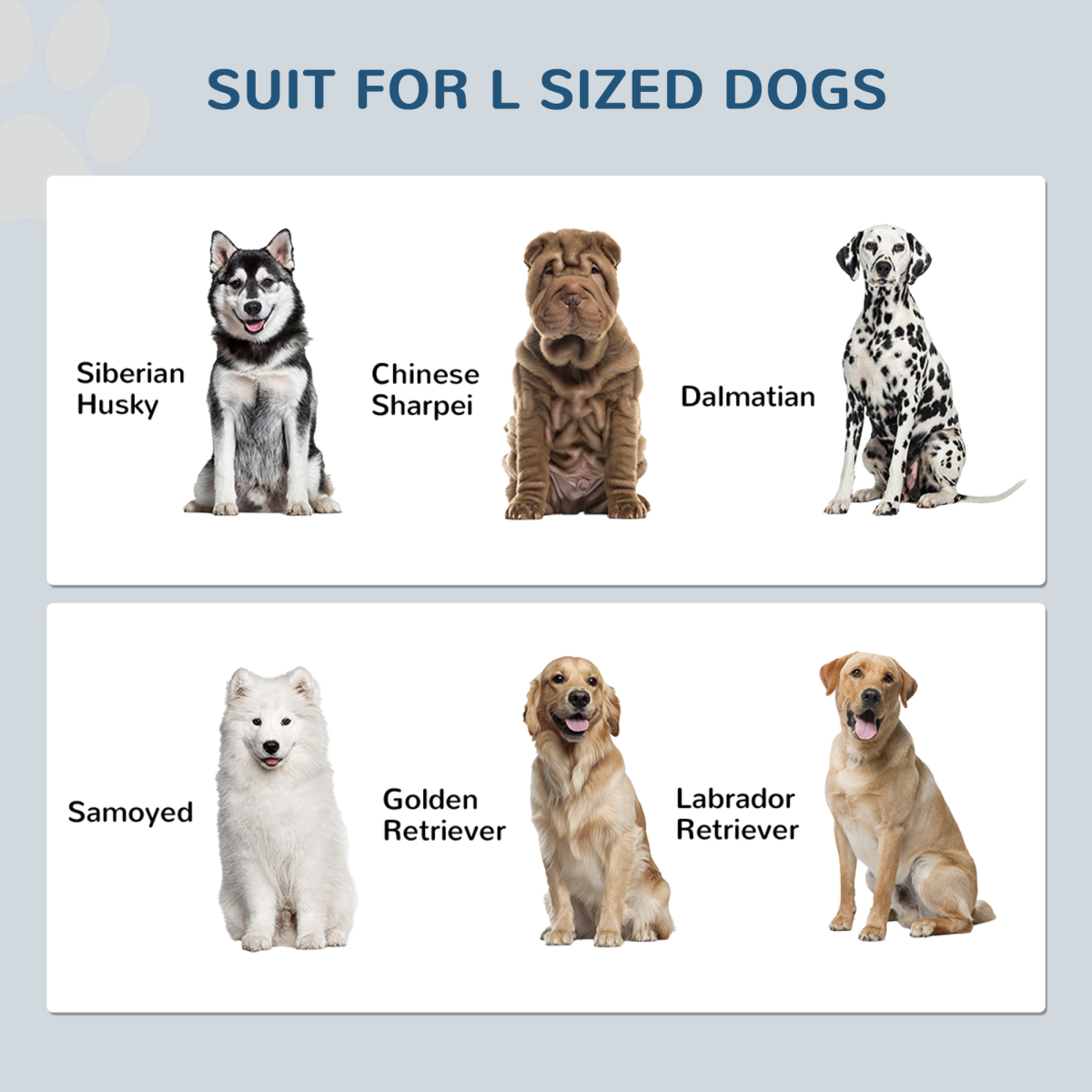 cortex-london-windsor-pawhut-raised-dog-feeding-station-grey