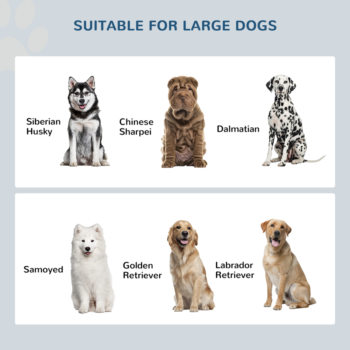 cortex-london-windsor-raised-dog-feeding-station-storage-large-dogs