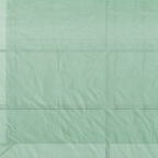 Walk-In Greenhouse PE Cover and 3-Tier Shelves, Green, 300x150x213 cm