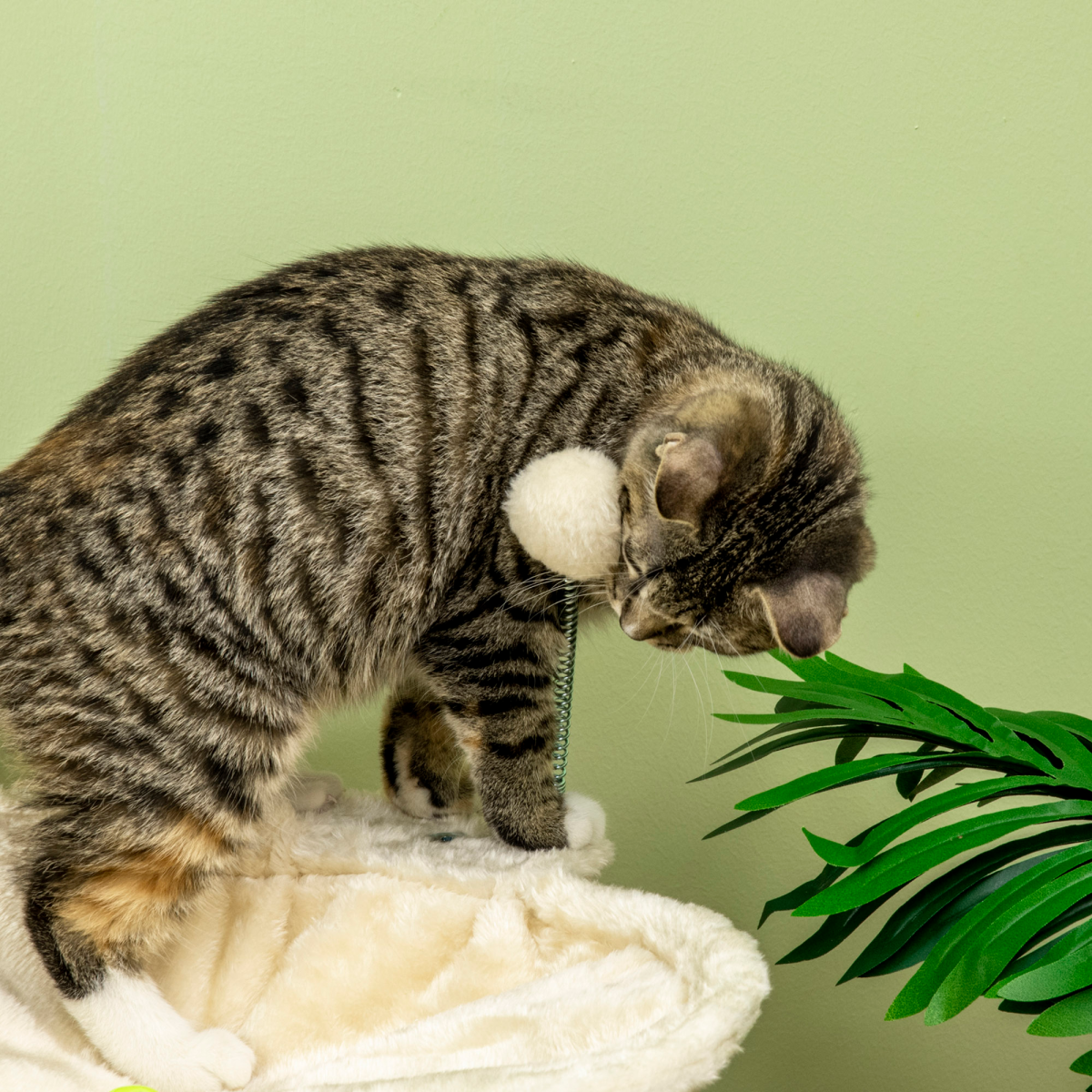 cortex-london-york-cat-tree-scratching-posts-hammock-toy-ball-beige-pawhut