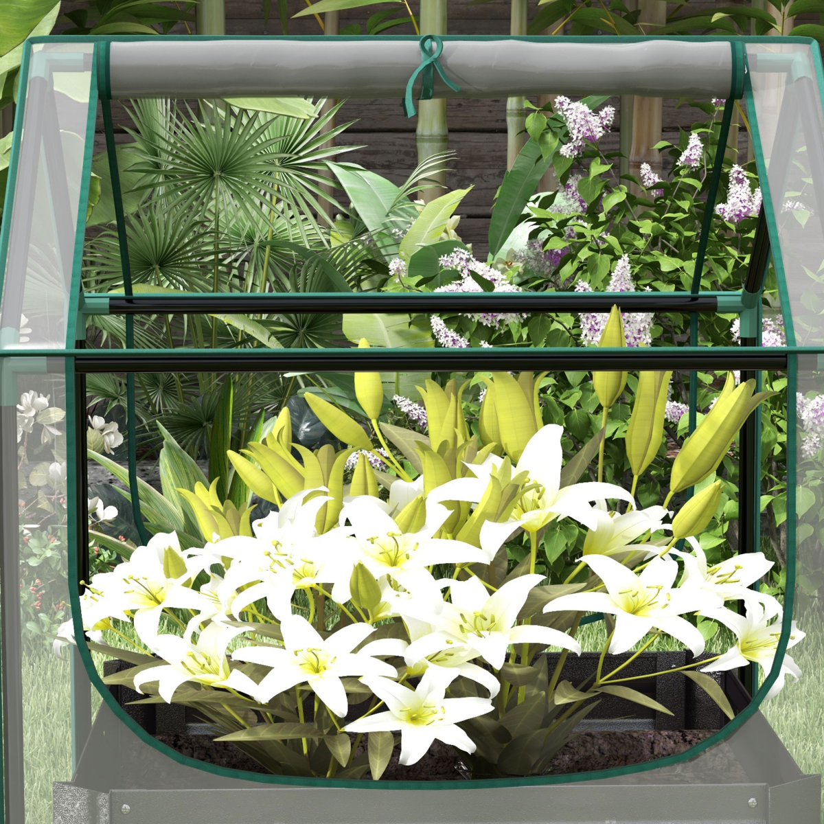 cortex-london-windsor-raised-garden-bed-planter-greenhouse-clear-dark-grey