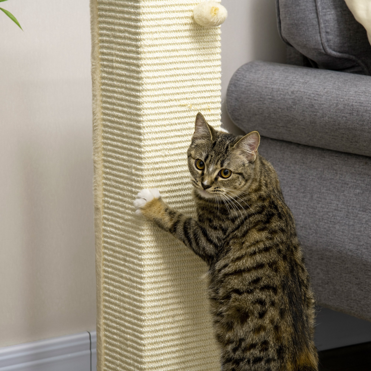 cortex-london-windsor-80cm-sisal-cat-scratching-post-toy-ball-oak-tone-cream-white