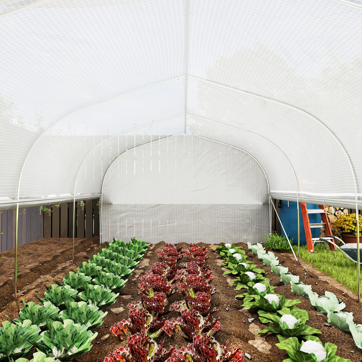cortex-london-windsor-polytunnel-greenhouse-white-roll-up-sidewalls-mesh-door
