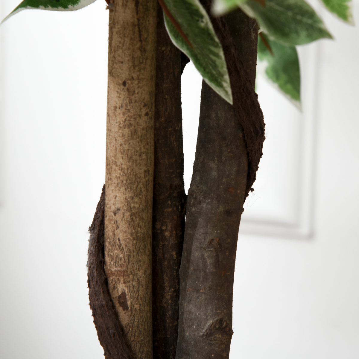 cortex-london-kensington-artificial-ficus-tree-160cm